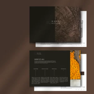 BALI_Template présentation de projets